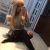 Gerçek Resimli Mersin Escort Sibel - Image 3 Gerçek Resimli Mersin Escort Sibel - Image 3